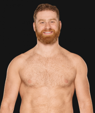 Sami Zayn